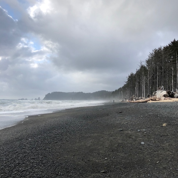 Meet Drew - Picture 1 of 1